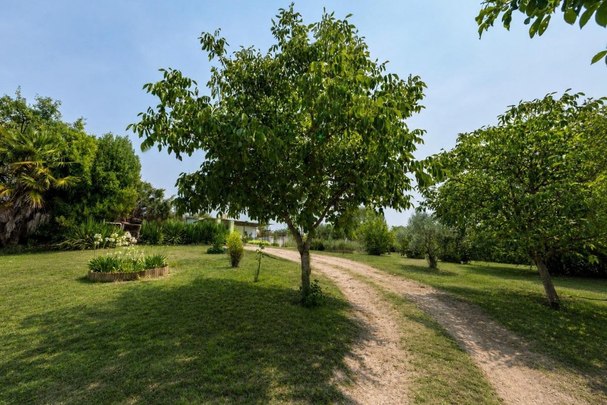 foto18